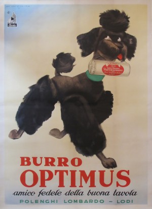 Vintage Italian Poodle Poster